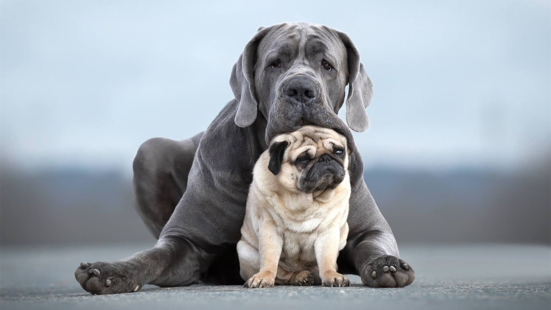 燃烧的逆境，拉梅洛如何在纽约的炼狱中锻造传奇