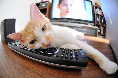 铁血防守与关键先生！上海男篮全面压制北京，浓眉王哲林一记封盖定江山