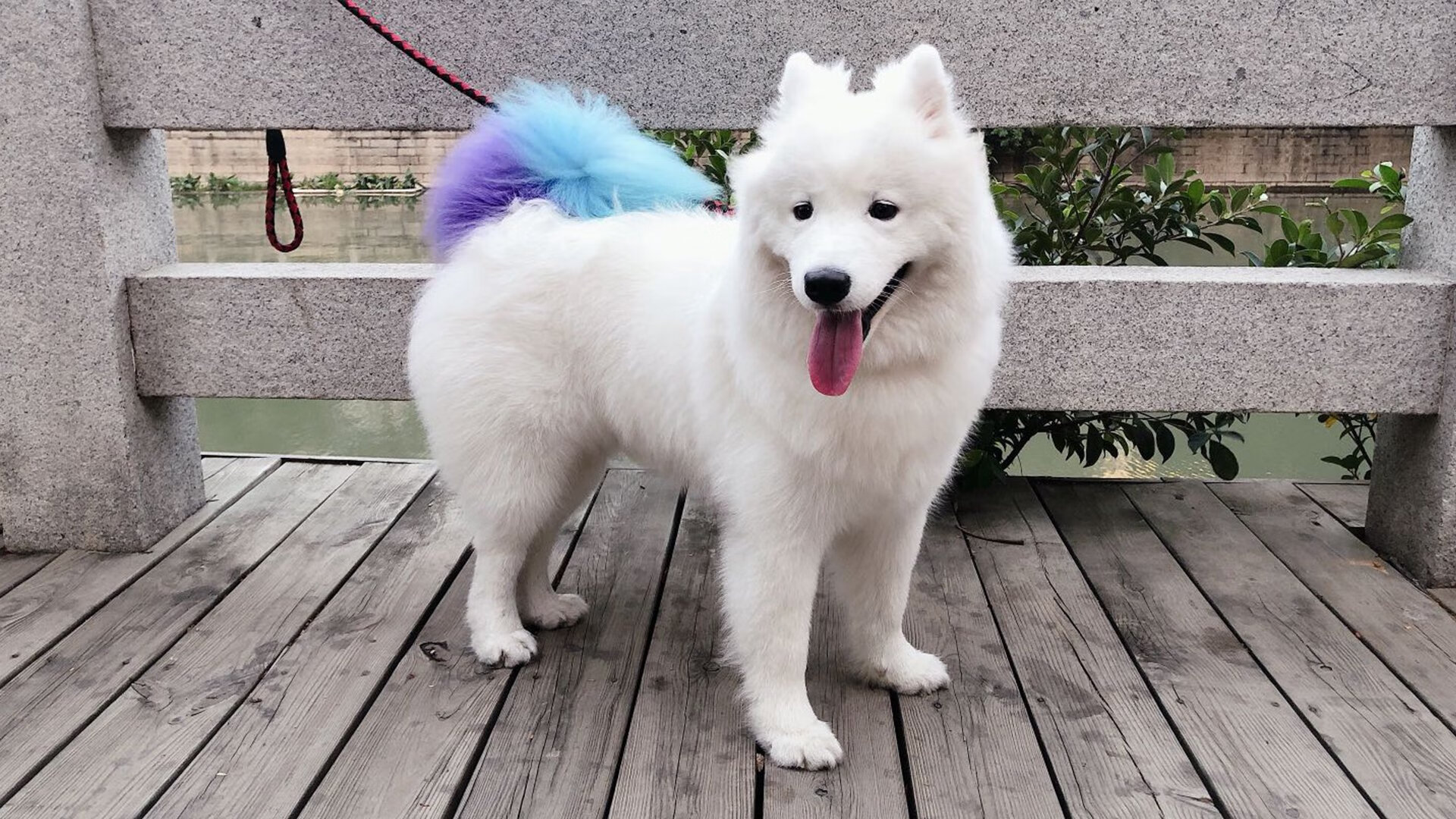 开云体育平台APP-双线焦点，当德甲争冠白热化邂逅勇士王朝的奇才时刻