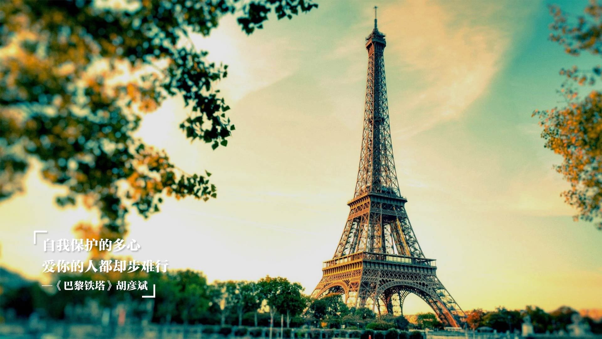 开云体育中国-赛道与球场，F1争冠之夜与武切维奇的双重引擎轰鸣