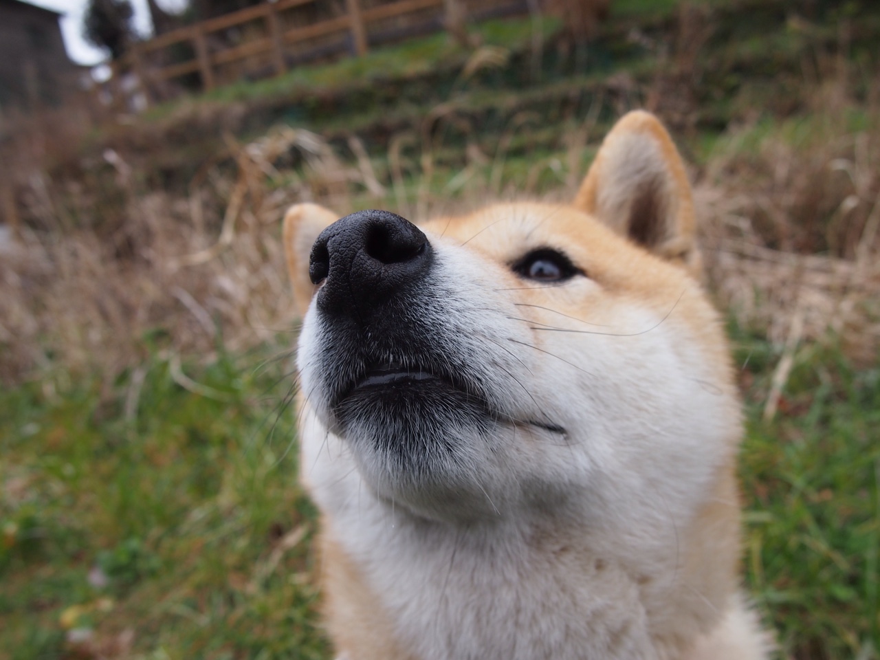 团队篮球哲学的胜利,霍勒迪在关键时刻闪耀