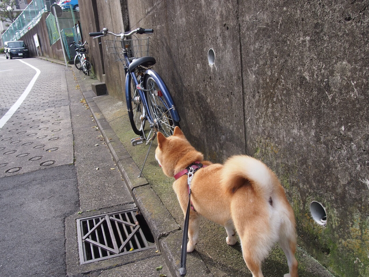 跨界之星,拉什福德客串西甲引爆全场,马竞对阵毕巴之战无争议MVP诞生
