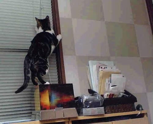 当罗德里遇上红黑军团,一场战术铁锤对压制艺术的终极解码