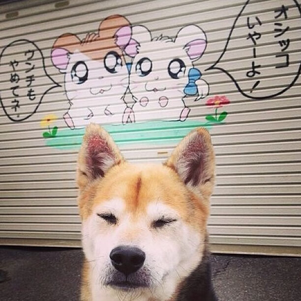 姆巴佩，烧穿巴黎天际的那道闪电