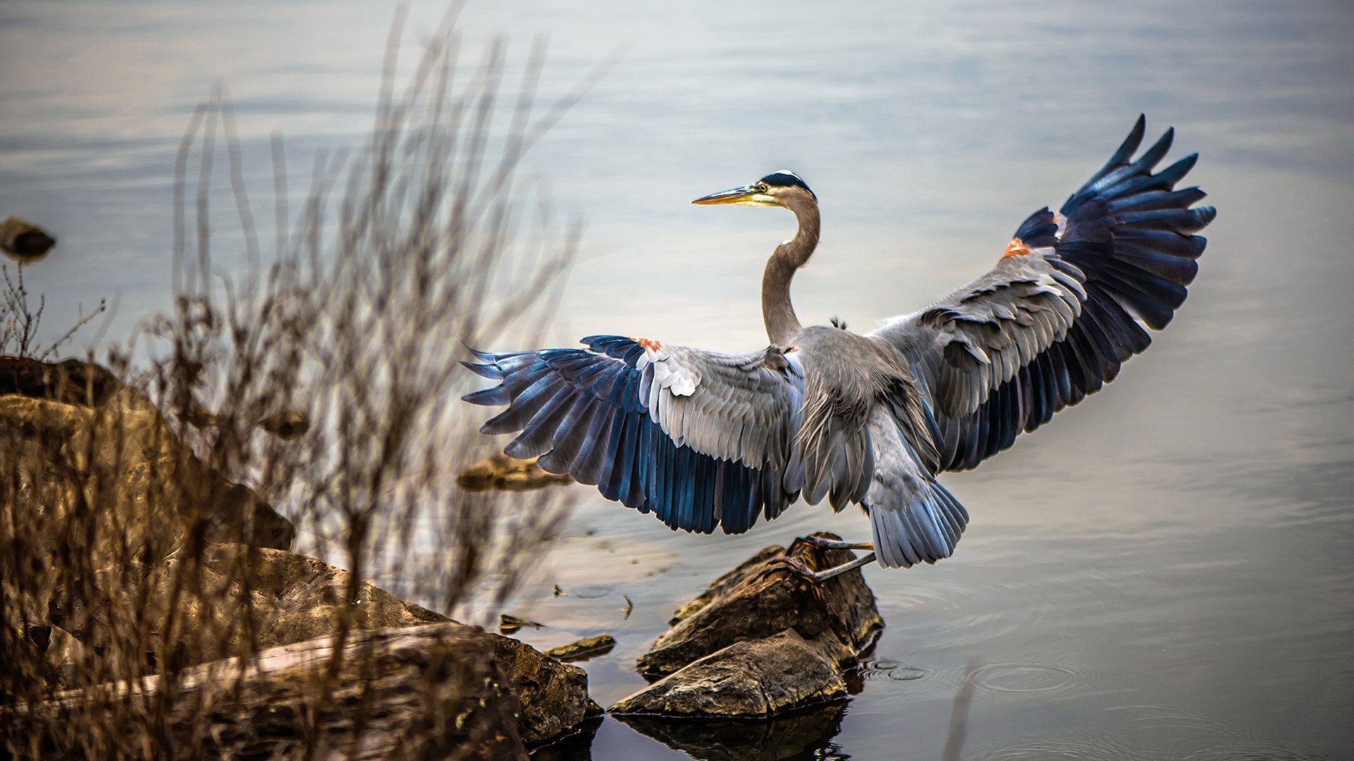 开云体育在线-防守的荣耀，当基米希化身铁闸，贝蒂斯以整体踏平红牛