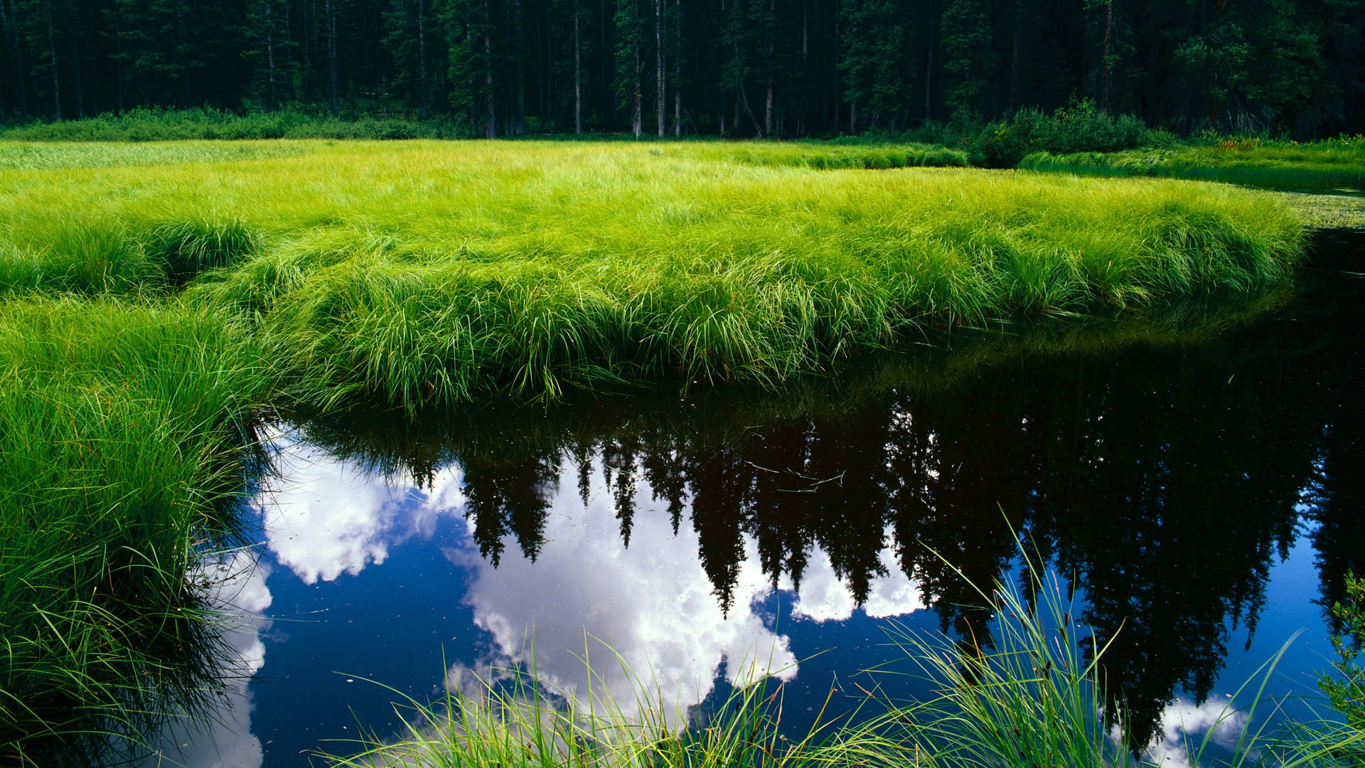 摩纳哥碾压美国,当足球魔术师格列兹曼在西决生死战接管比赛