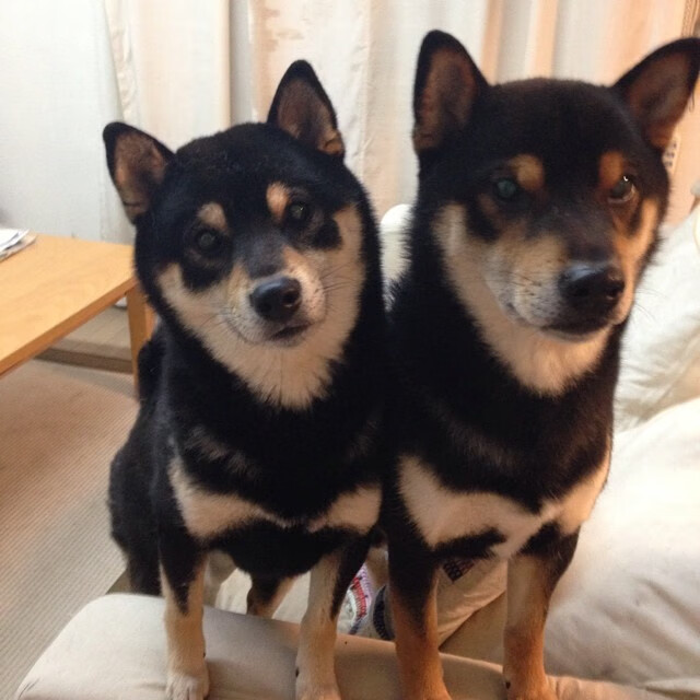 审判之夜，塔图姆透过公牛与步行者的血战，完成关键基因的淬炼