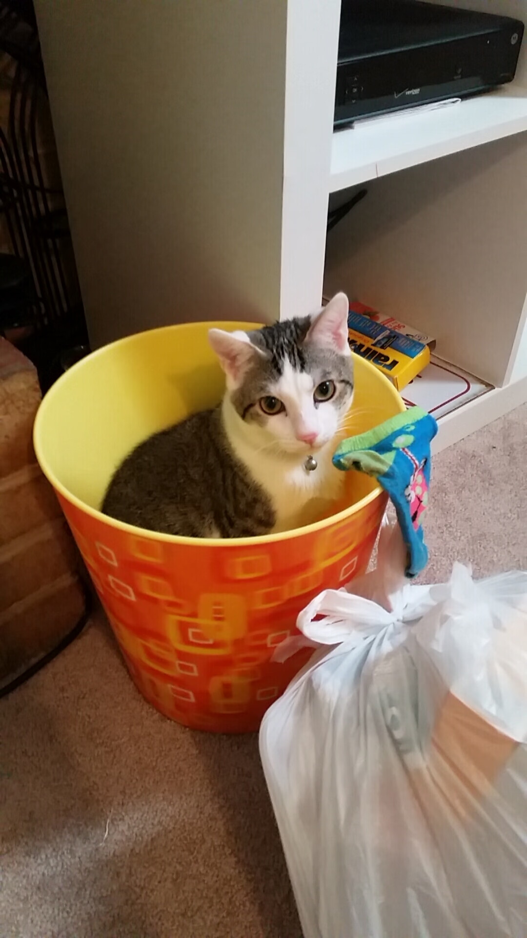 开云体育APP下载-当利物浦变成英格兰，德布劳内在重压下的涅槃之战