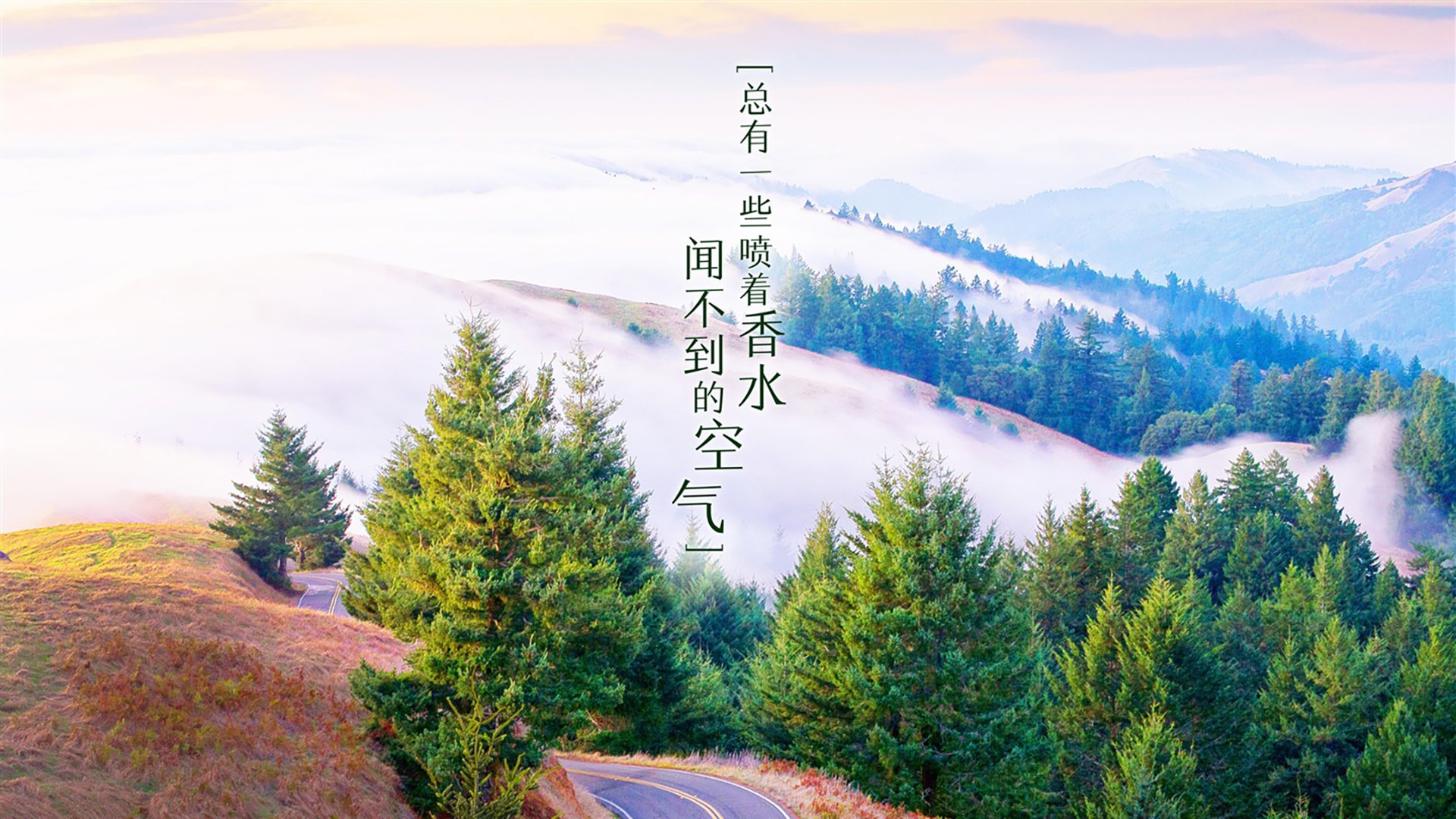 NBA季后赛之夜，新神谱序章，文班亚马主宰比赛走向