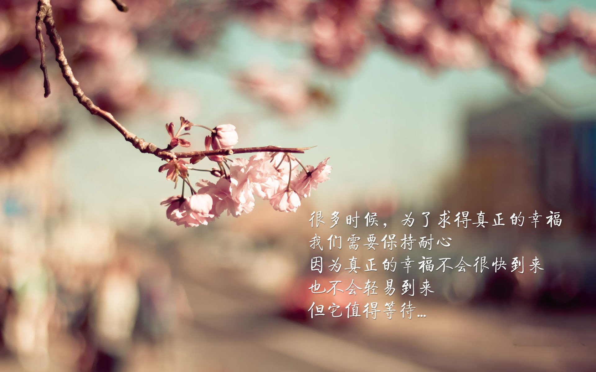 沙漠之狐的致命獠牙,努涅斯94分钟绝杀,宣告伊拉克足球新时代
