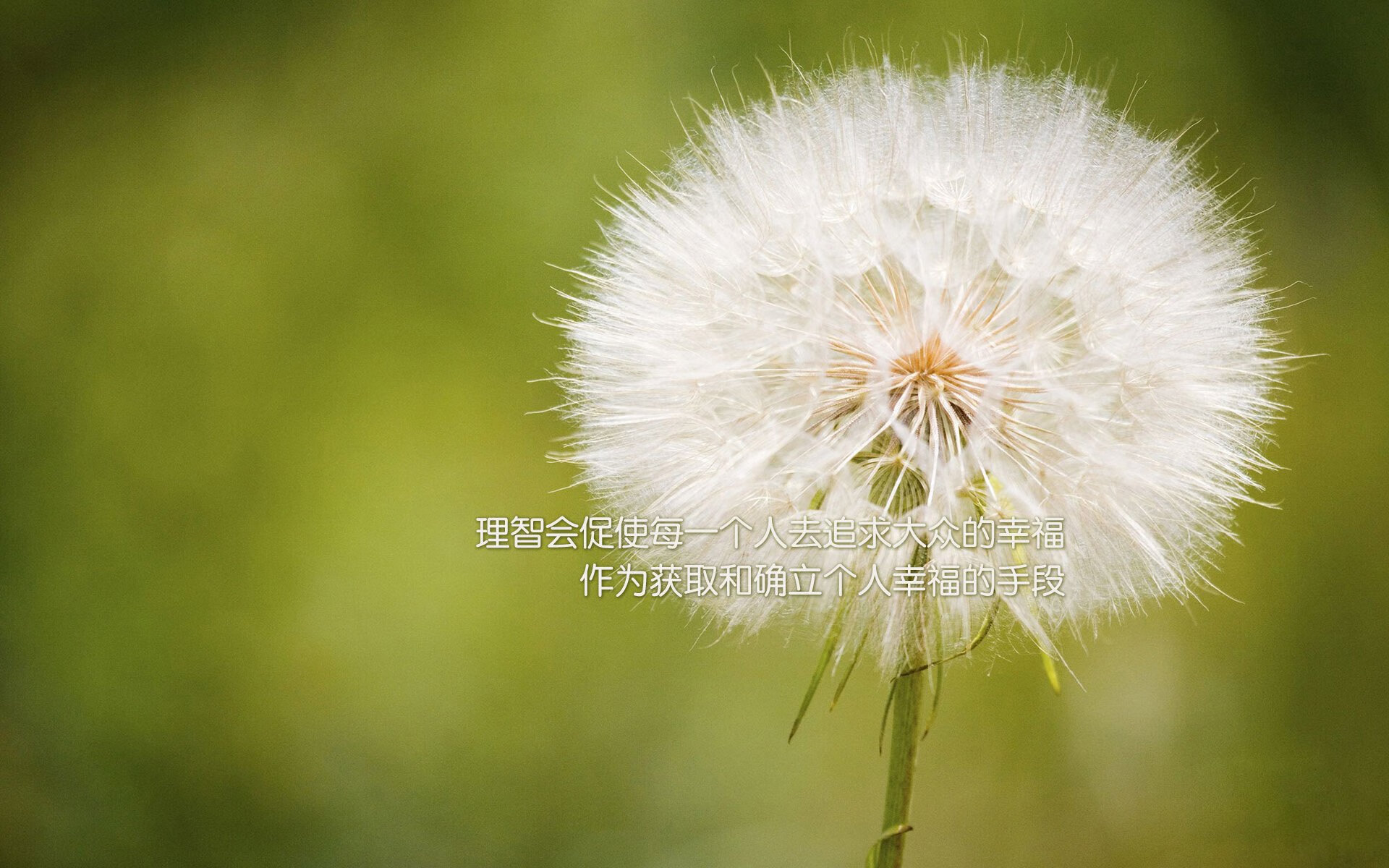 奇迹之夜,37岁吉鲁归化印度,一记绝杀点燃A组生死战—2026世界杯印度2-1险胜墨西哥全纪实