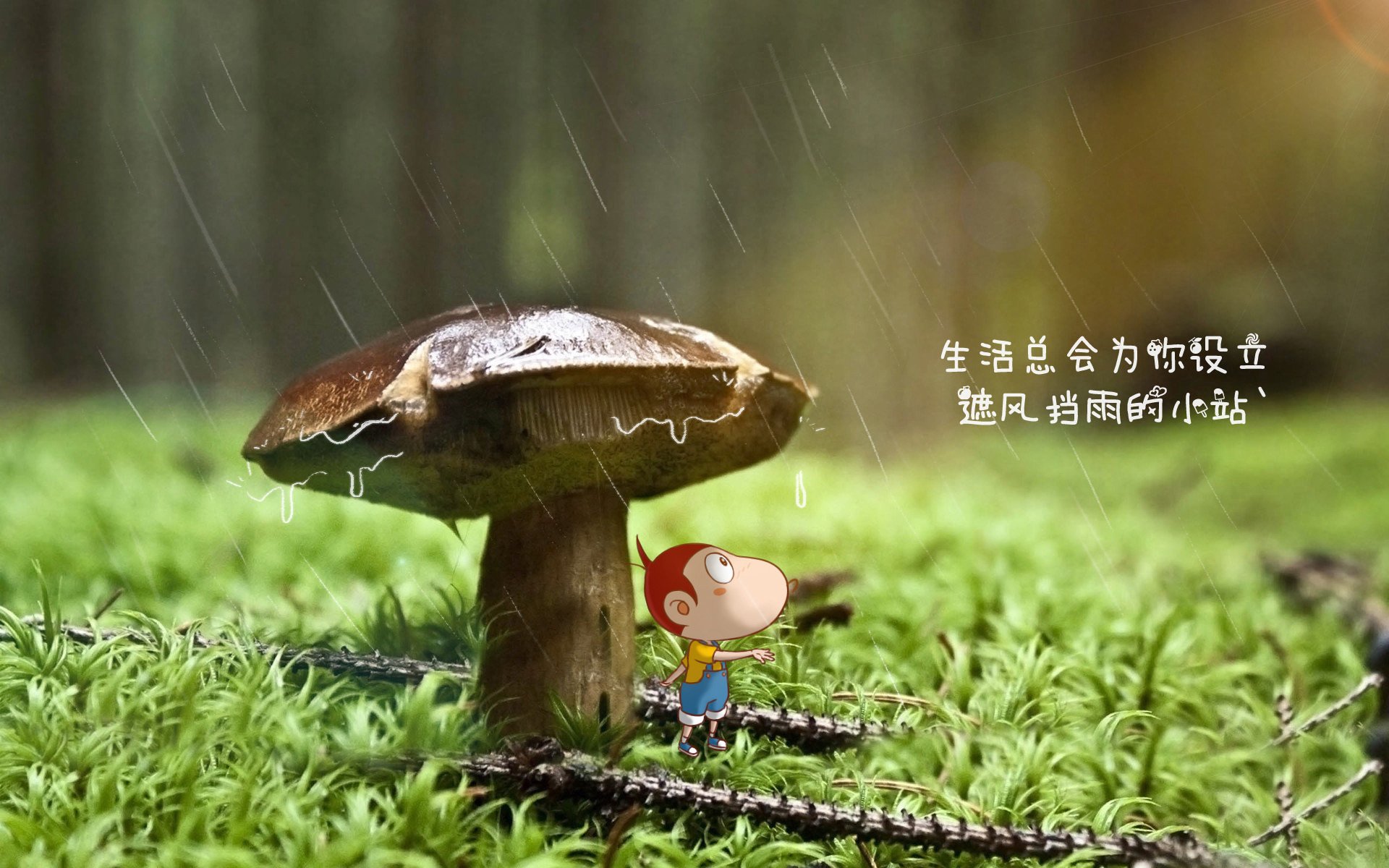 红魔咆哮，太极虎倒地，贝林厄姆独造绝杀，比利时从地狱到天堂