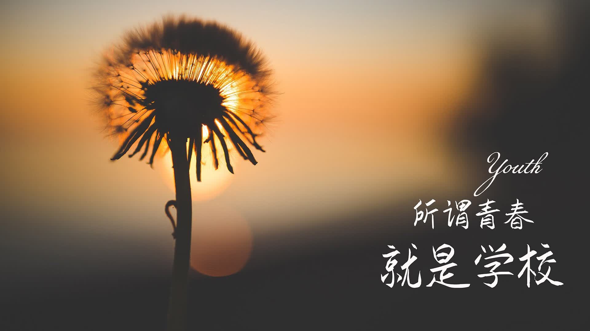 沙漠之狐的利爪，奥斯梅恩撕裂南美防线，突尼斯如何在C组唯一性绞杀战中让秘鲁沦为背景