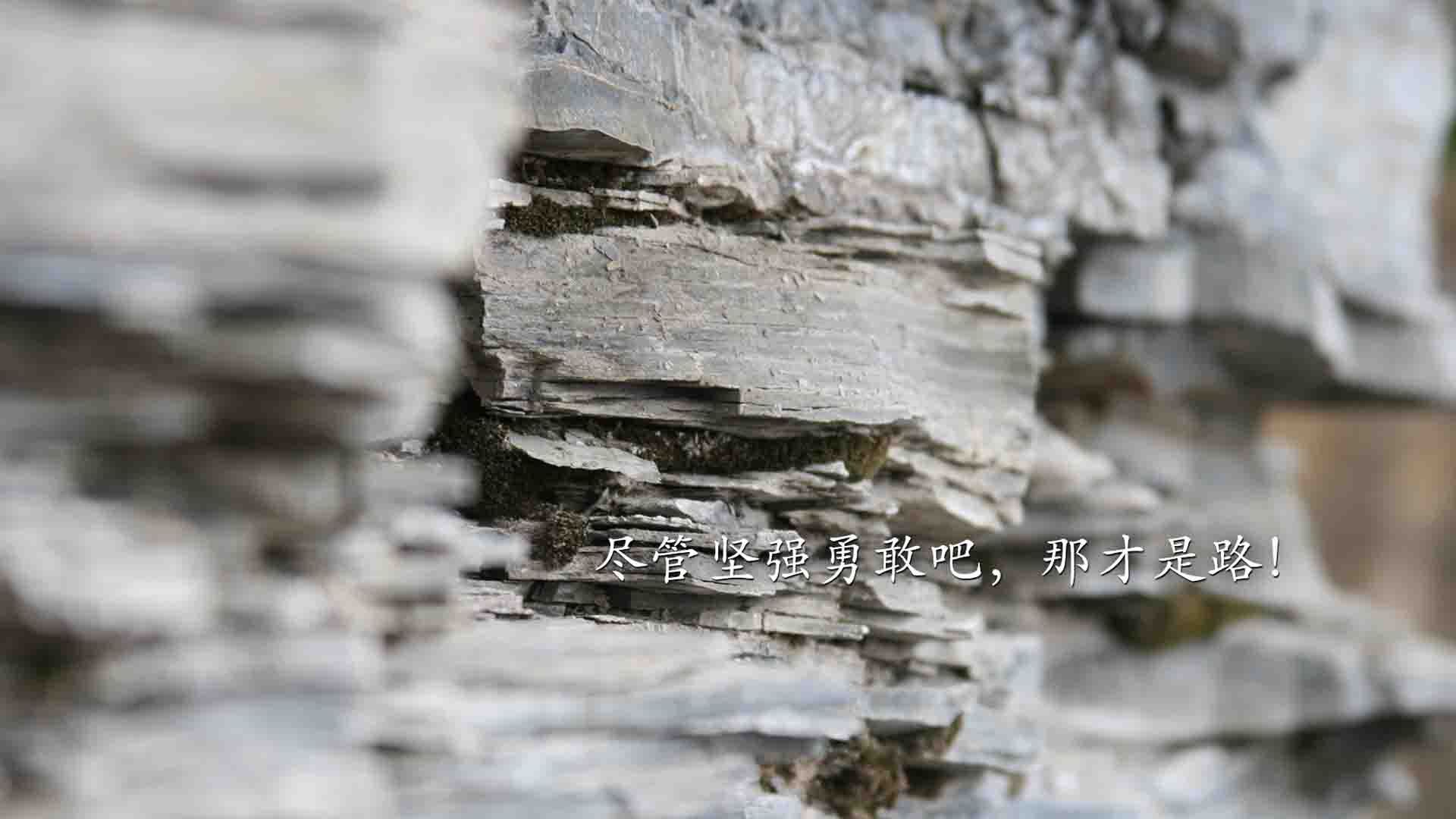 南美铁骑踏破迦太基,托纳利导演逆转,替补奇兵一剑封喉—2026世界杯G组焦点战,厄瓜多尔力克突尼斯