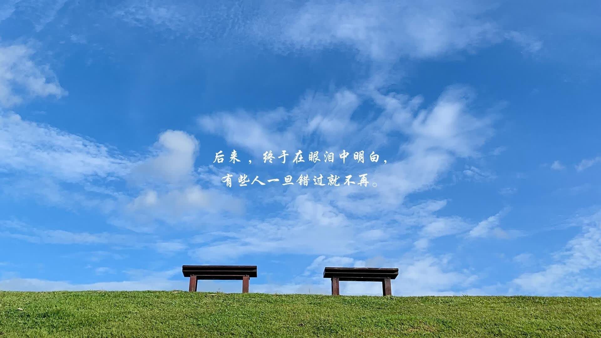 2026世界杯·风暴之眼，当喀尔巴阡的雄鹰撕裂日耳曼战车—坎塞洛的绝望三分钟与罗马尼亚的冷血寓言